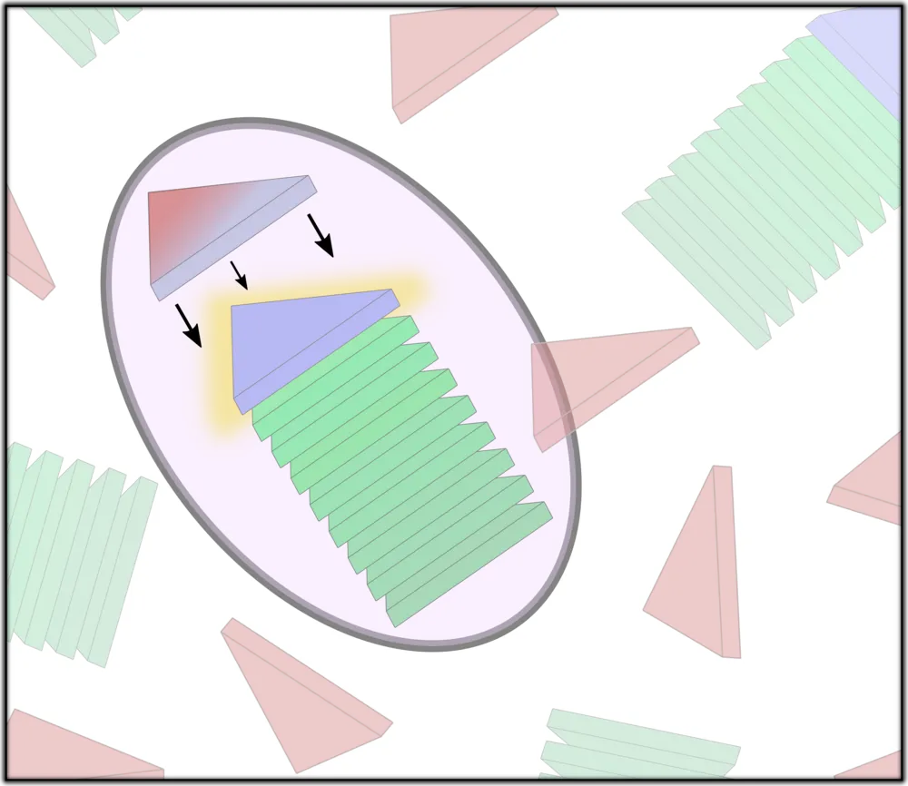 Schematic illustrating controlled assembly